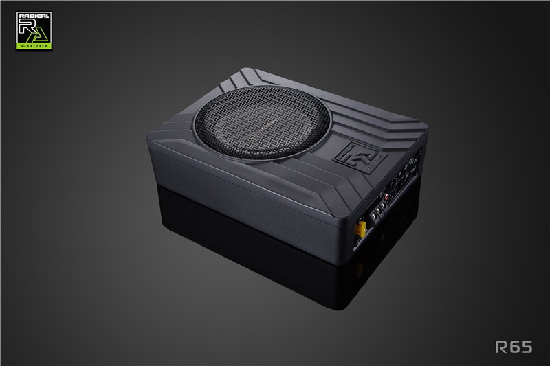 LOA SUB ĐIỆN LẮP GẦM GHẾ RADICAL RA65